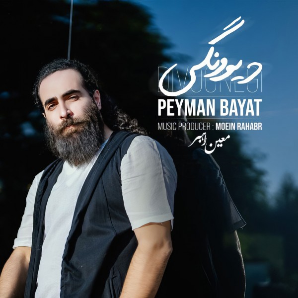 Peyman Bayat - Divoonegi