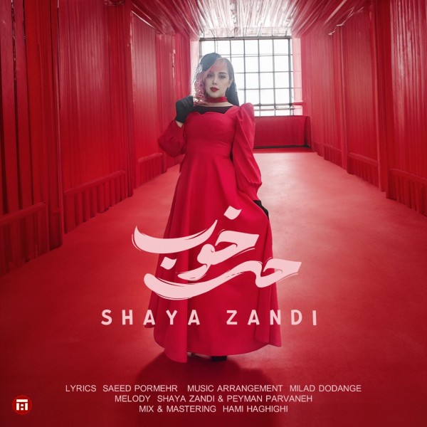 Shaya Zandi - Hese Khoob