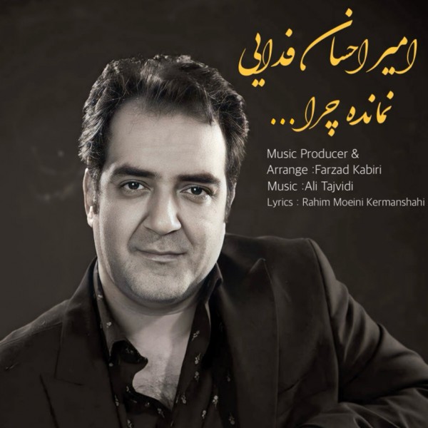 Amir Ehsan Fadaei - Namandeh Chera