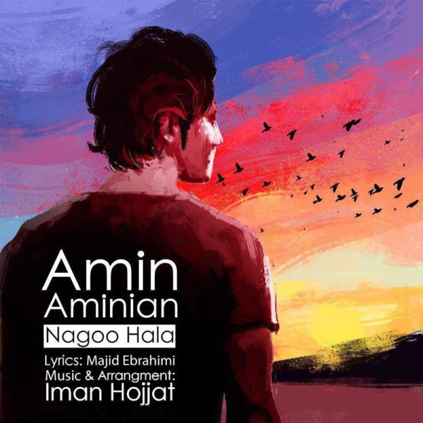 Amin Aminian - Nagoo Hala